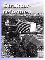 Strukturreformen